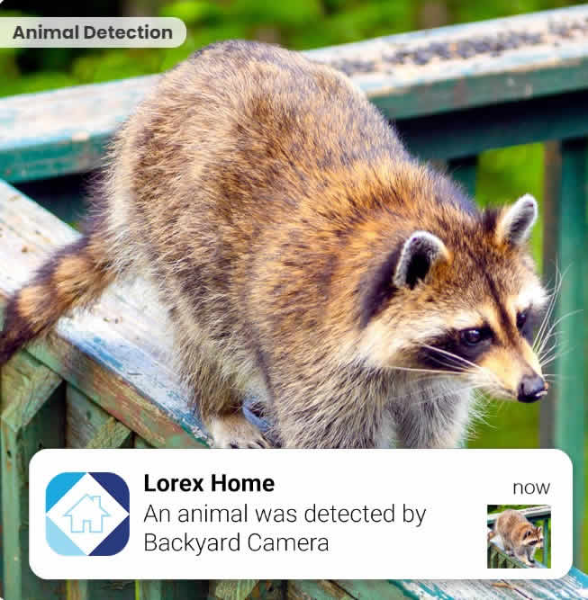 Lorex-floodlight-security-camera-feature